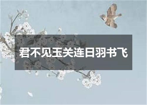 君不见玉关连日羽书飞