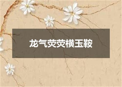 龙气荧荧横玉鞍