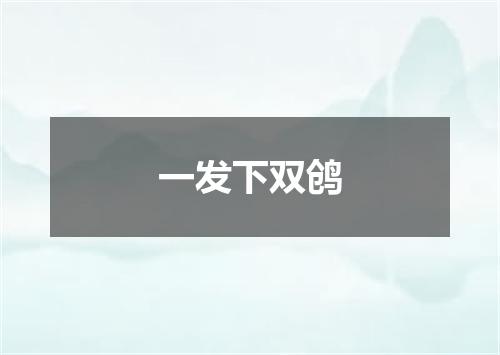 一发下双鸧