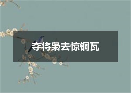 夺将枭去惊铜瓦