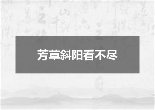 芳草斜阳看不尽