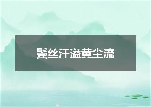 鬓丝汗溢黄尘流
