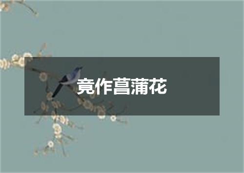 竟作菖蒲花