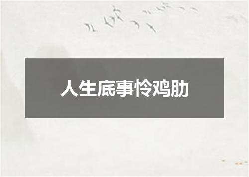 人生底事怜鸡肋