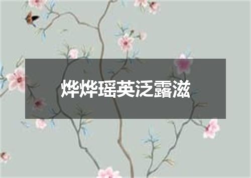 烨烨瑶英泛露滋