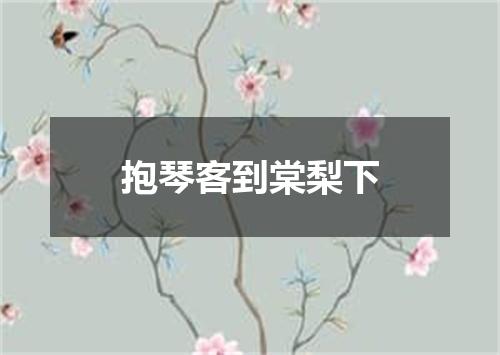 抱琴客到棠梨下