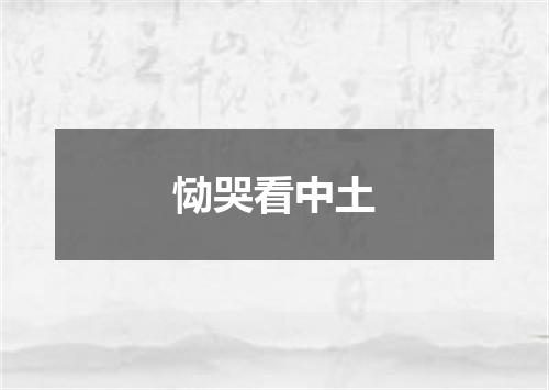 恸哭看中土