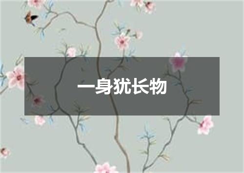 一身犹长物