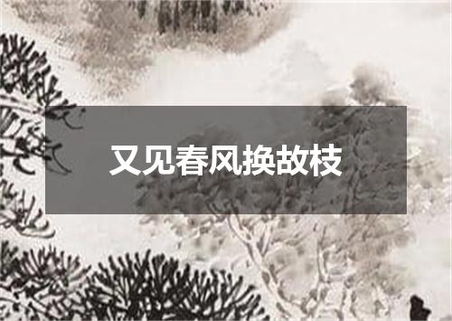 又见春风换故枝