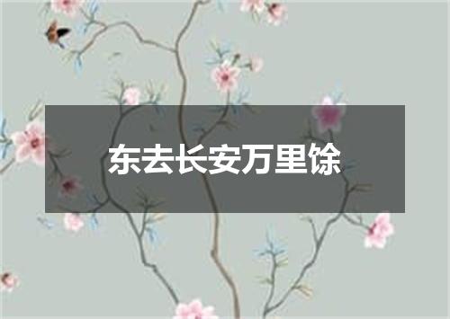 东去长安万里馀