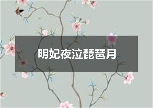 明妃夜泣琵琶月