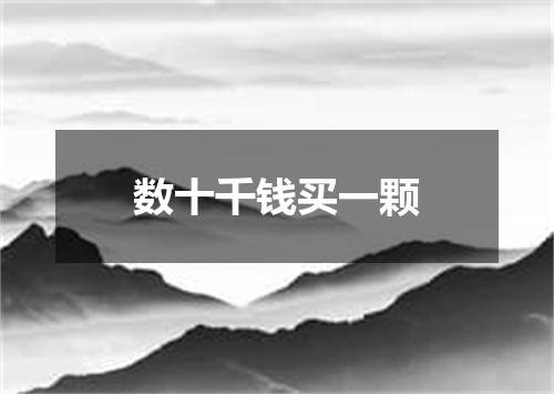 数十千钱买一颗