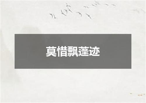 莫惜飘蓬迹