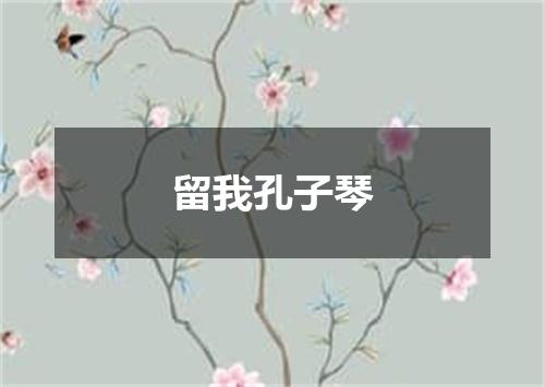 留我孔子琴