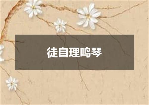 徒自理鸣琴