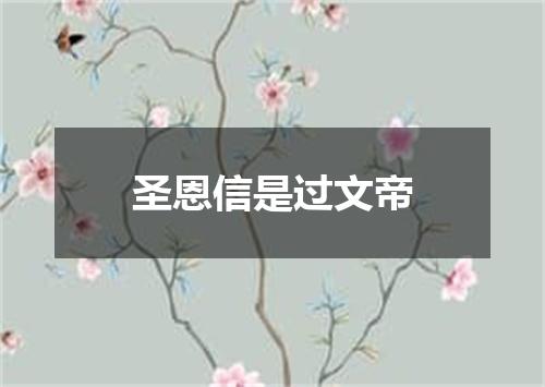 圣恩信是过文帝