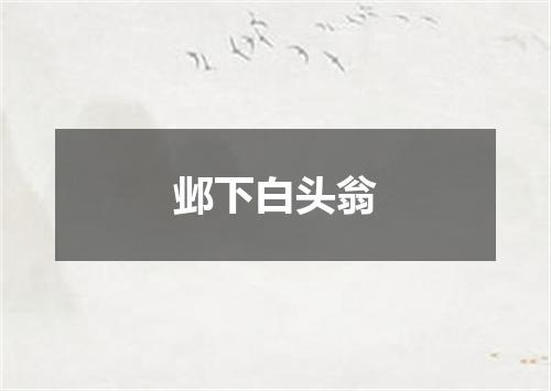 邺下白头翁