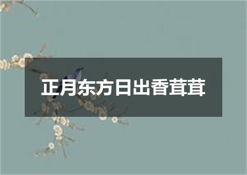 正月东方日出香茸茸
