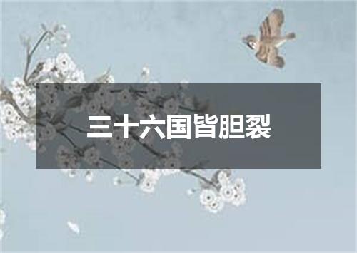 三十六国皆胆裂