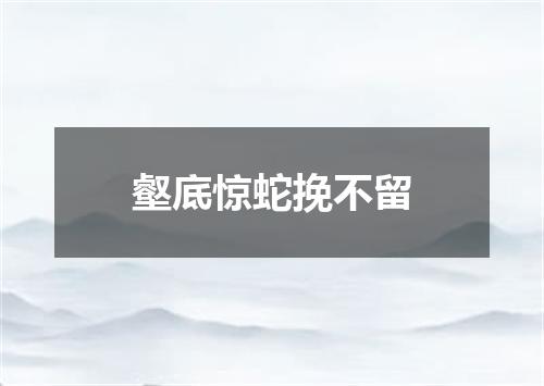 壑底惊蛇挽不留