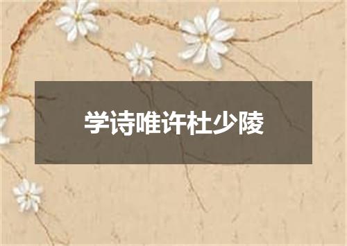学诗唯许杜少陵