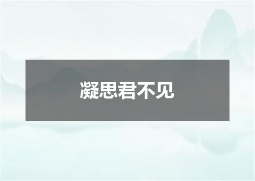 凝思君不见