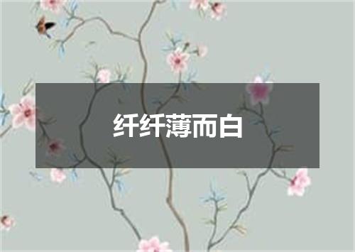 纤纤薄而白
