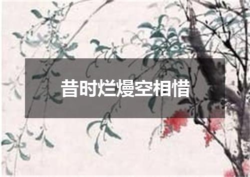 昔时烂熳空相惜