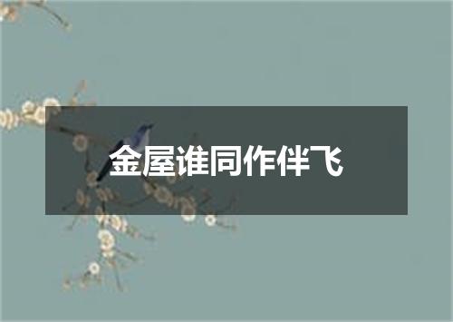 金屋谁同作伴飞