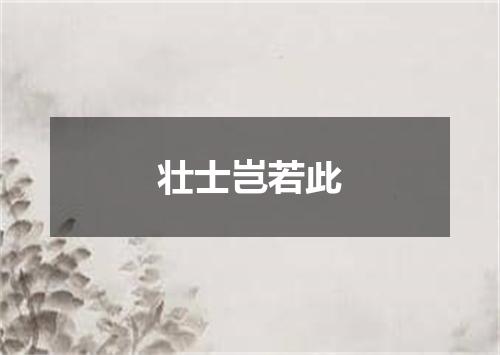 壮士岂若此