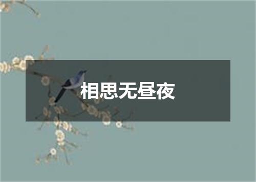 相思无昼夜