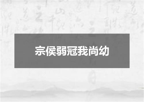 宗侯弱冠我尚幼