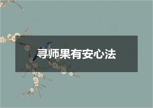 寻师果有安心法