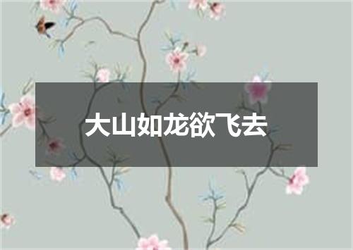 大山如龙欲飞去