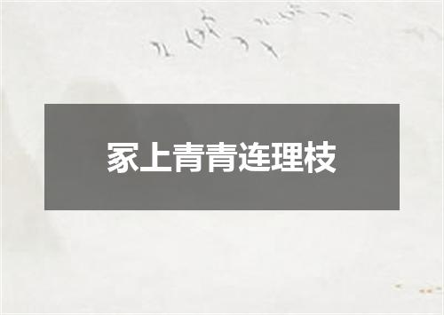 冢上青青连理枝
