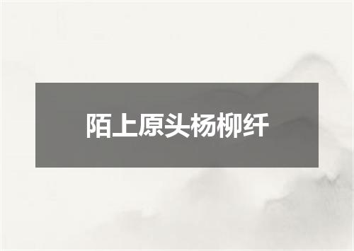 陌上原头杨柳纤