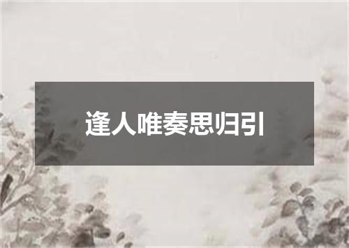 逢人唯奏思归引