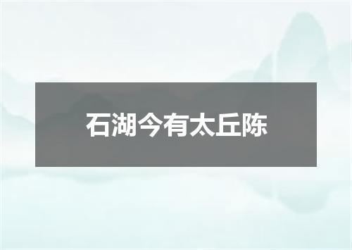 石湖今有太丘陈