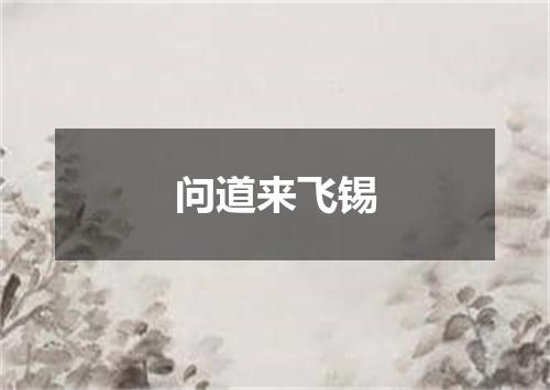 问道来飞锡