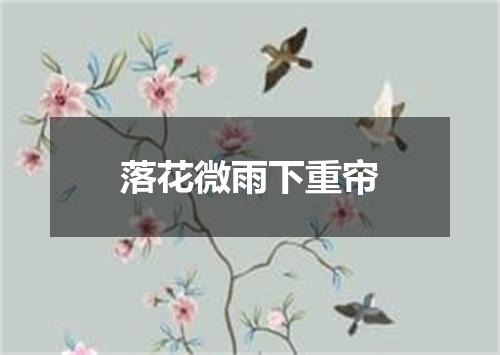 落花微雨下重帘