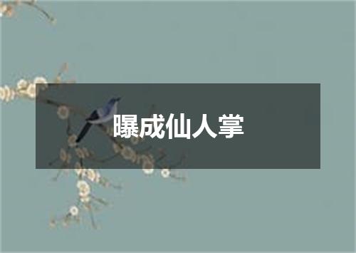 曝成仙人掌