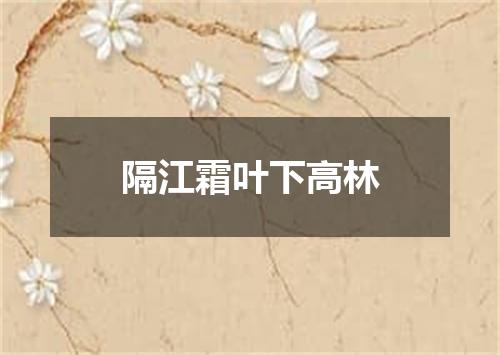 隔江霜叶下高林