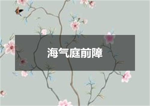 海气庭前障
