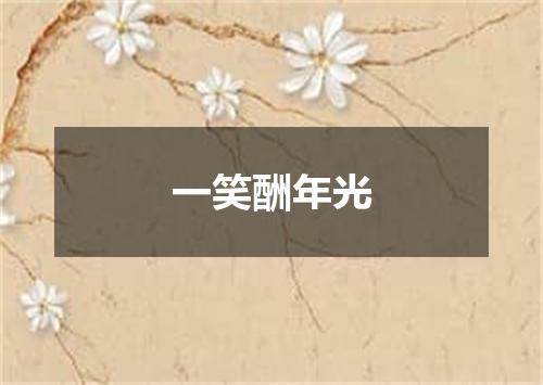 一笑酬年光