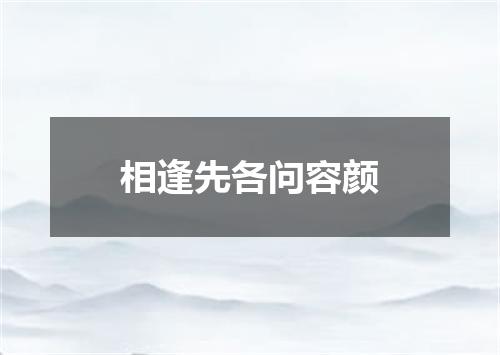 相逢先各问容颜