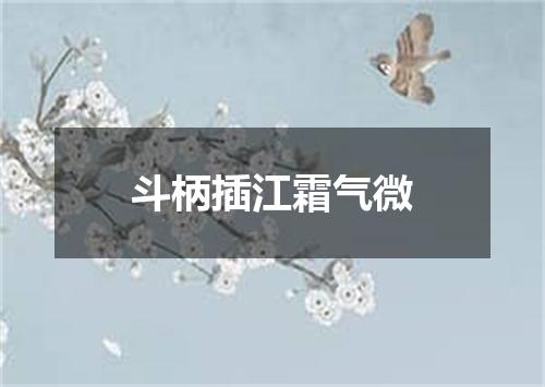 斗柄插江霜气微