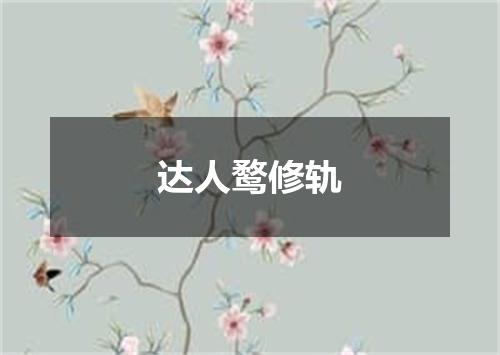 达人鹜修轨