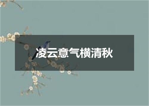 凌云意气横清秋