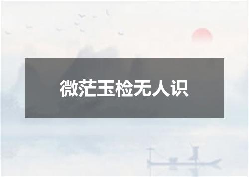 微茫玉检无人识