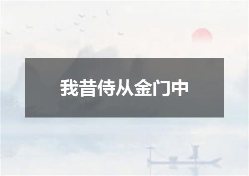 我昔侍从金门中